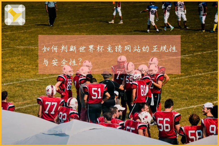 如何判断世界杯竞猜网站的正规性与安全性?