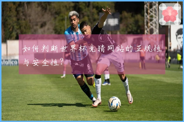 如何判断世界杯竞猜网站的正规性与安全性？