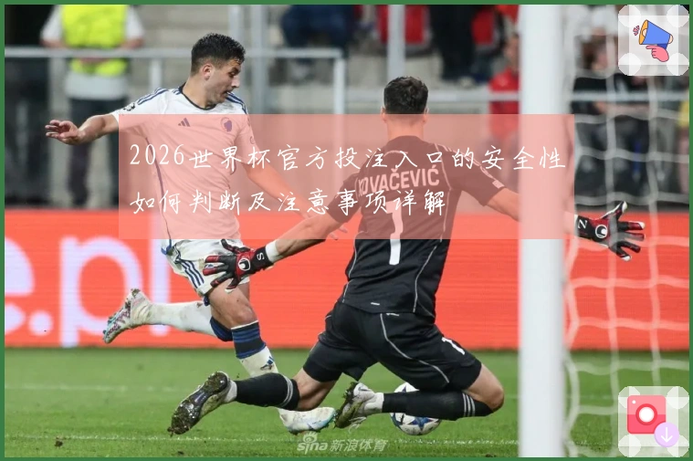 2026世界杯官方投注入口的安全性如何判断及注意事项详解